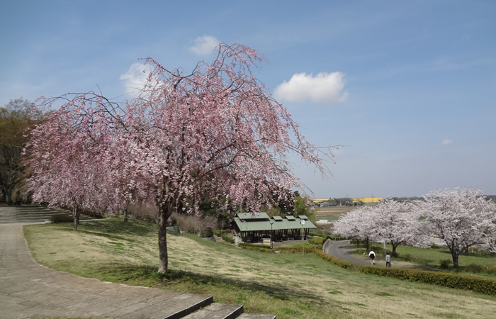 宮山公園03