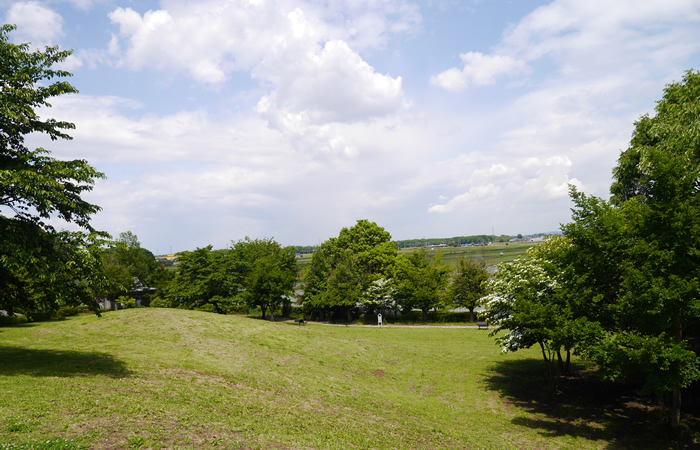 『芝生が広がるピクニック広場』の画像