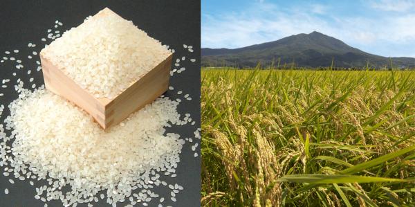 『特産品・農産物　米』の画像