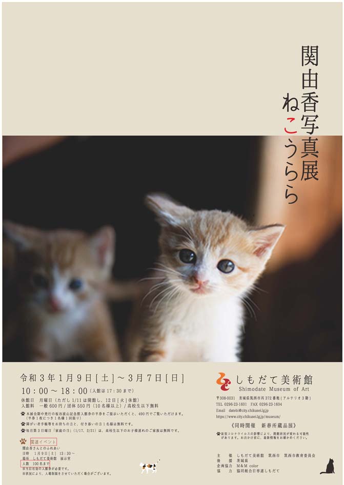 関由香写真展　ねこうらら