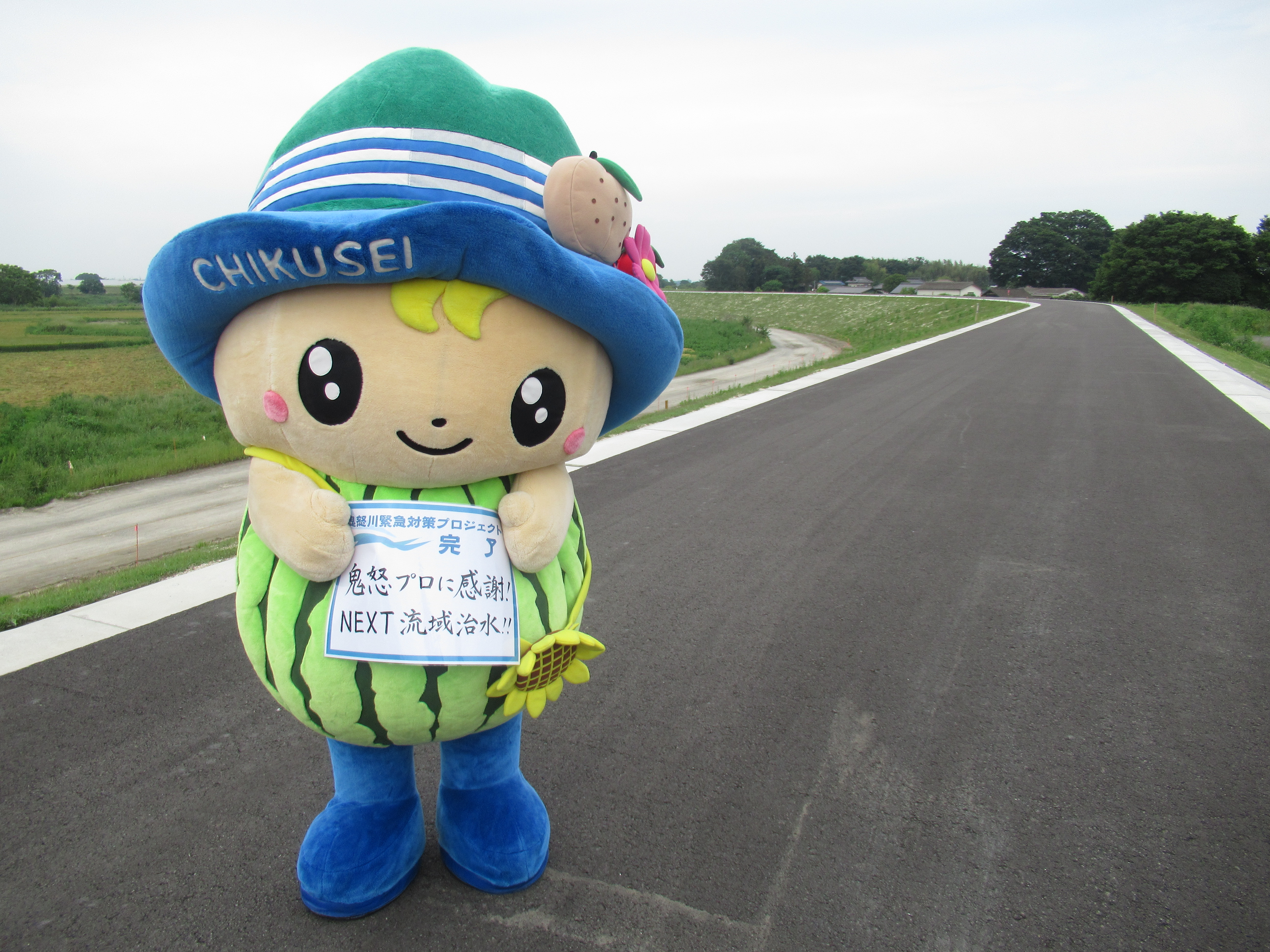 NEXT流域治水ちっくん