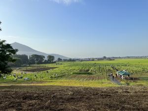 除草作業(2)