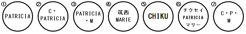 登録不可印影1