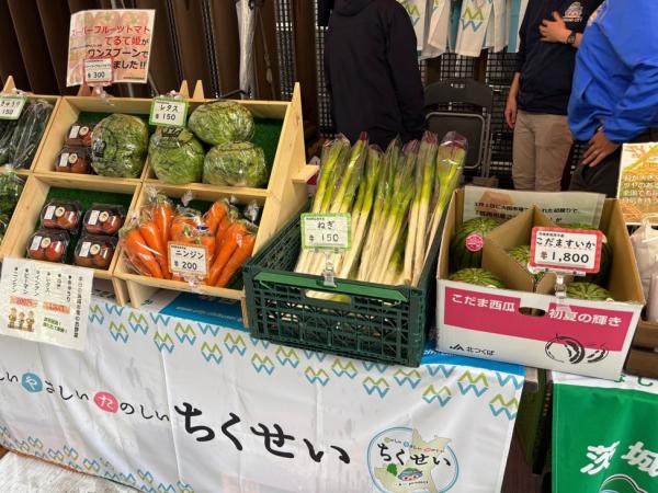 マロニエR7