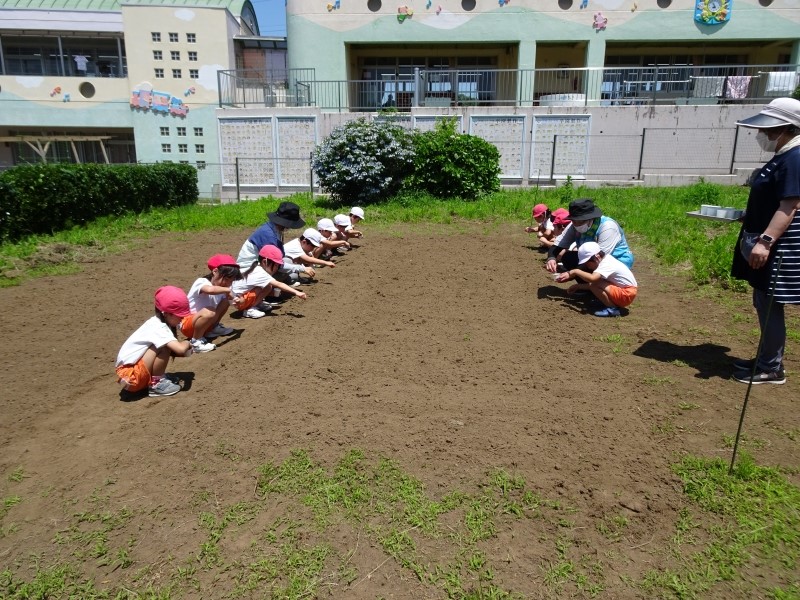 なかだて1