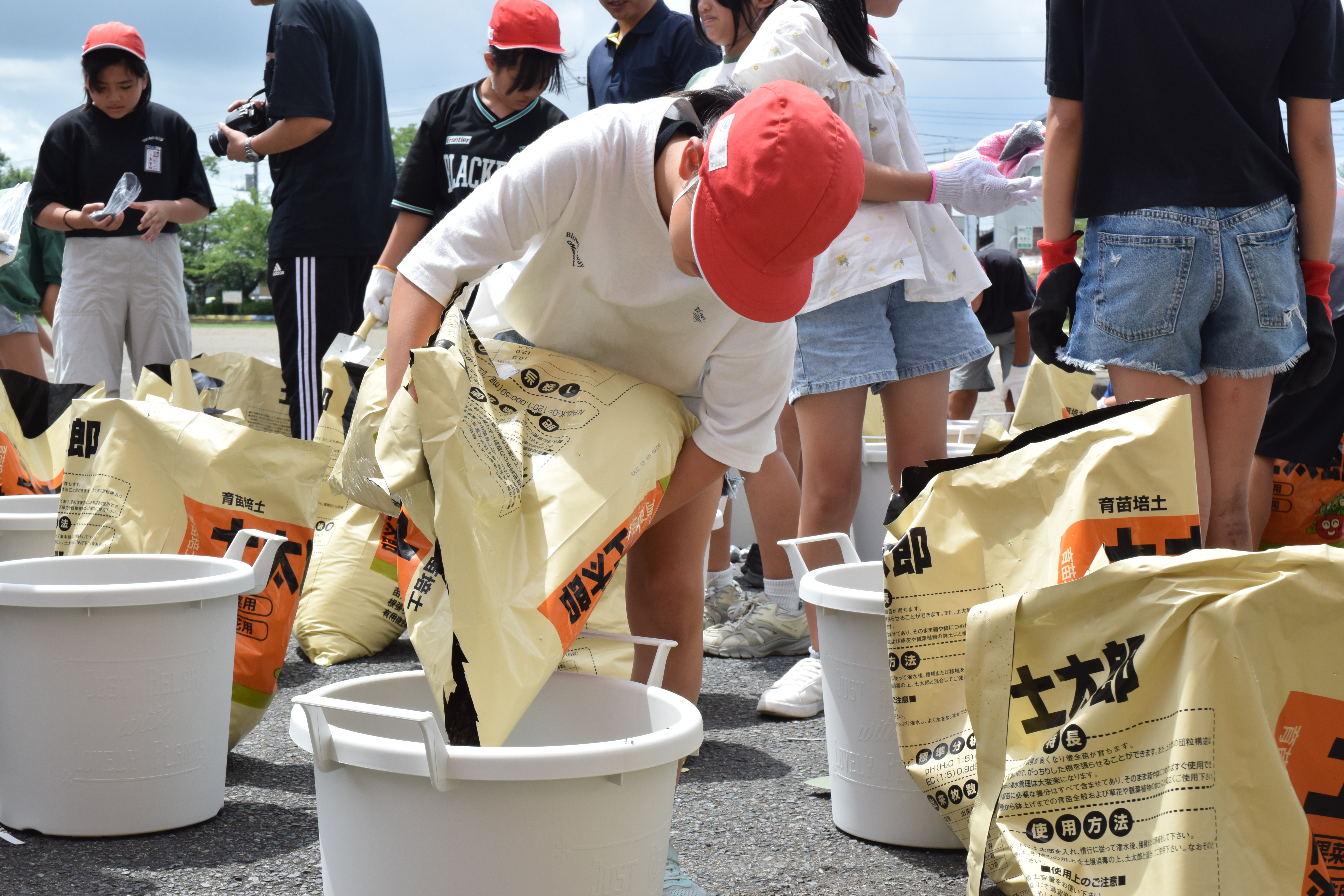 DSC_0060 - コピー