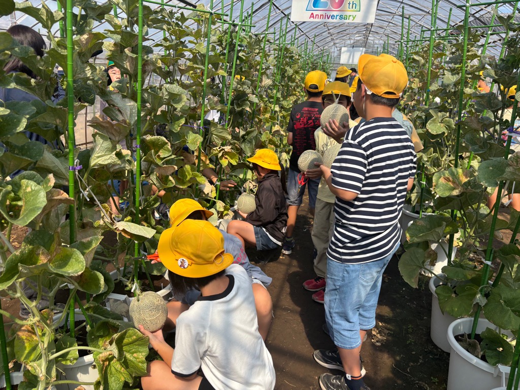 photo_20250926-031326_3