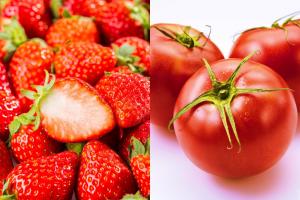 2月交流ショップ_2