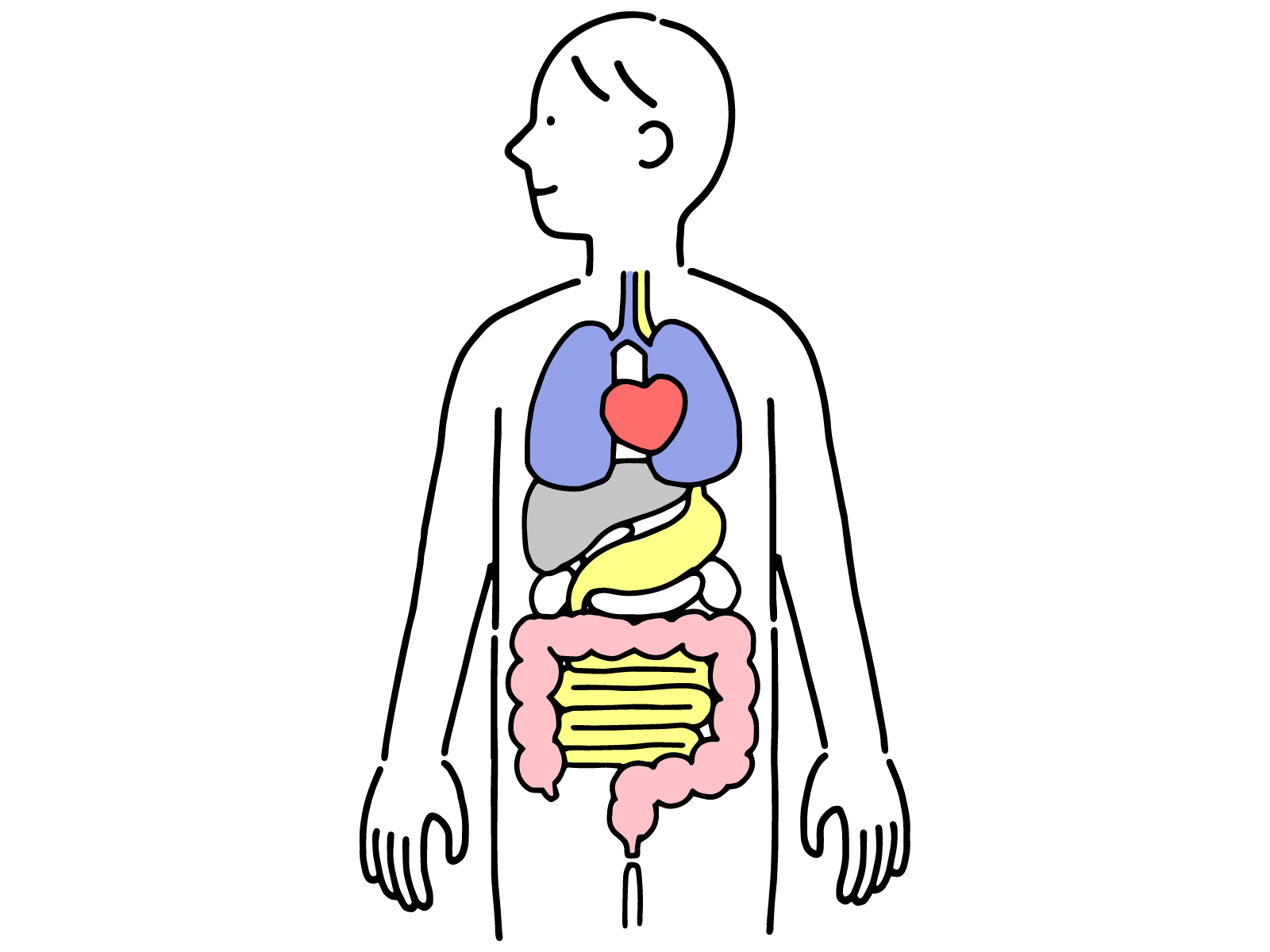 家庭の医学人体
