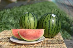 01こだますいか