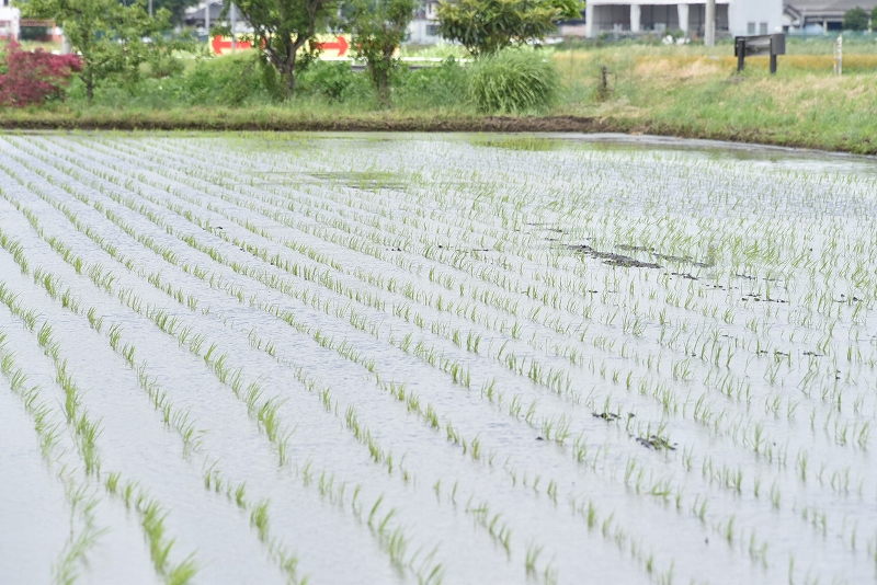 0528松原6