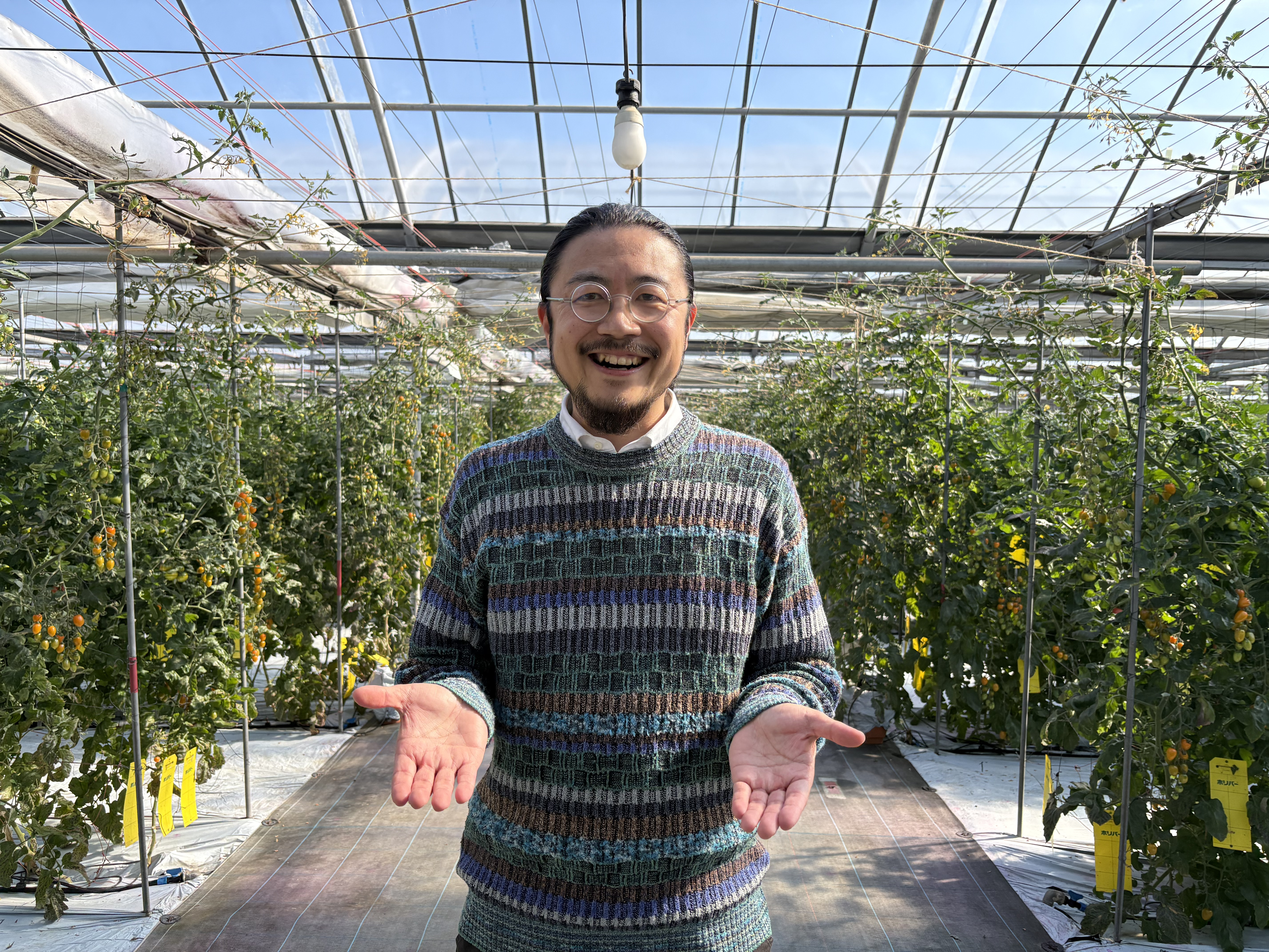 サンプル画像1