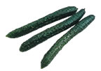 Cucumber